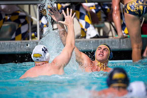 Cal Alumni Game