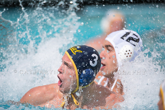 Cal Alumni Game