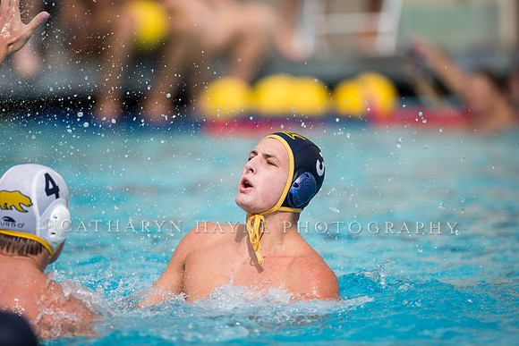 Cal Alumni Game
