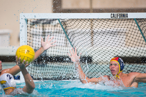 Cal Alumni Game