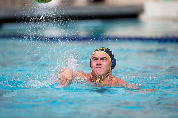 Cal Alumni Game