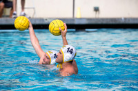Cal Alumni Game