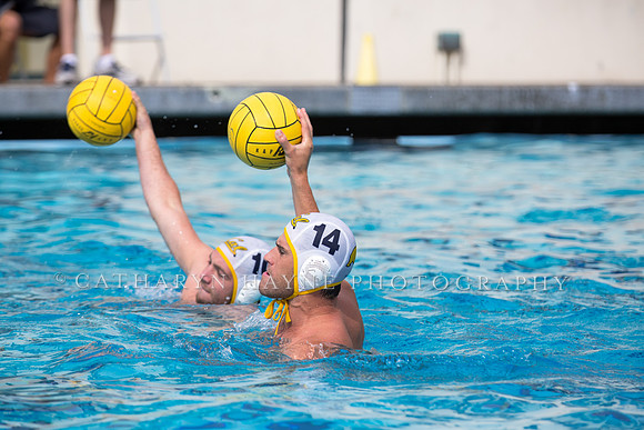Cal Alumni Game