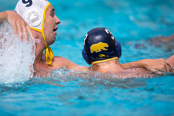 Cal Alumni Game