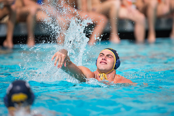 Cal Alumni Game