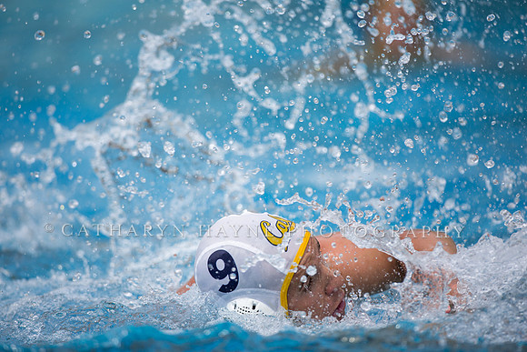Cal Alumni Game