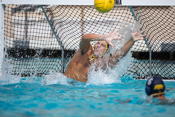 Cal Alumni Game