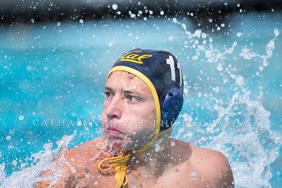 Cal Alumni Game