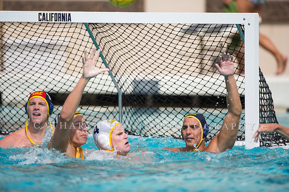 Cal Alumni Game