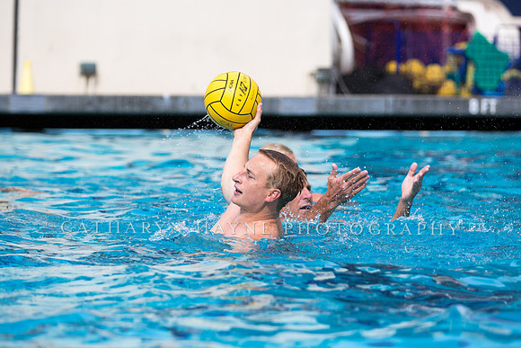 Cal Alumni Game