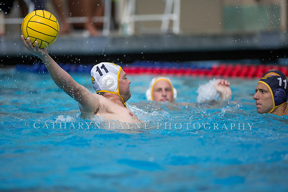 Cal Alumni Game