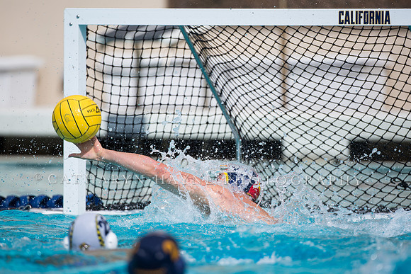 Cal Alumni Game