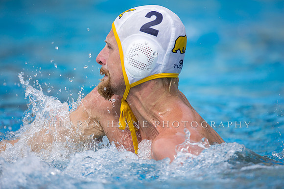 Cal Alumni Game