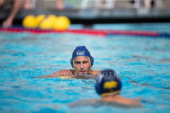 Cal Alumni Game