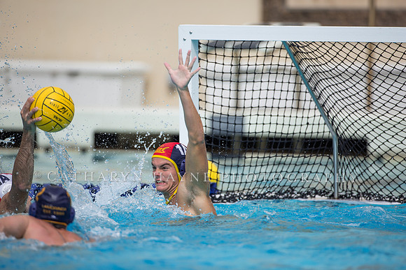 Cal Alumni Game