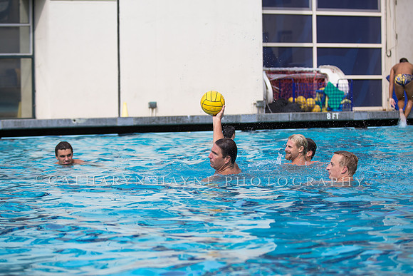 Cal Alumni Game