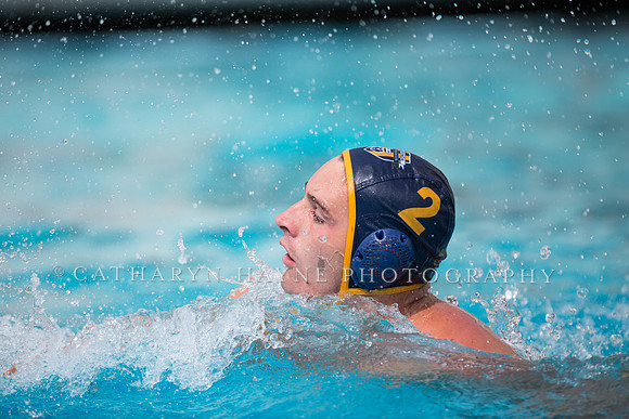 Cal Alumni Game