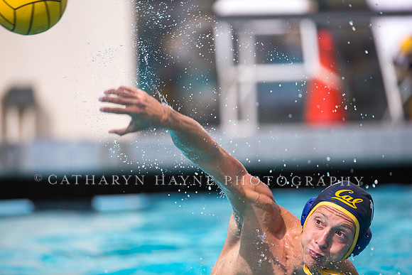 Cal Alumni Game