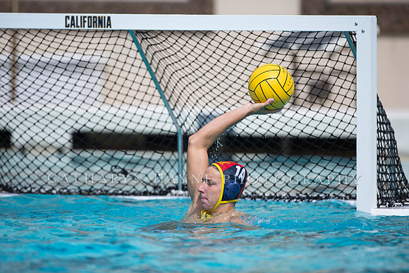 Cal Alumni Game