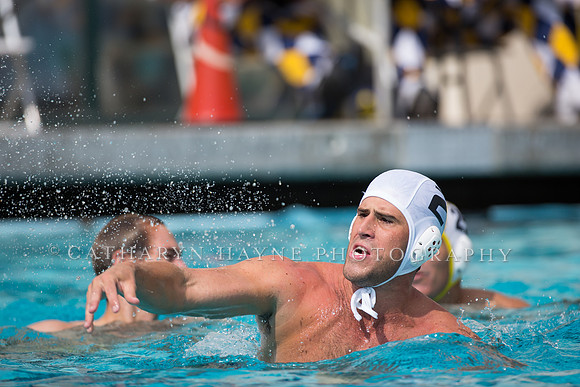 Cal Alumni Game