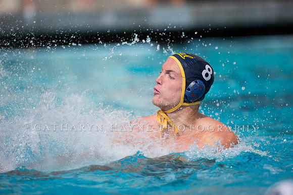 Cal Alumni Game