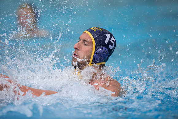 Cal Alumni Game