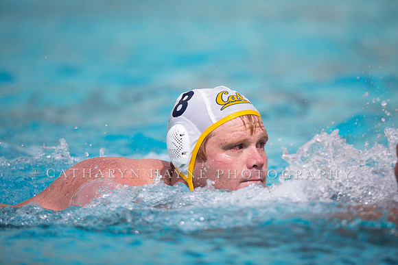 Cal Alumni Game