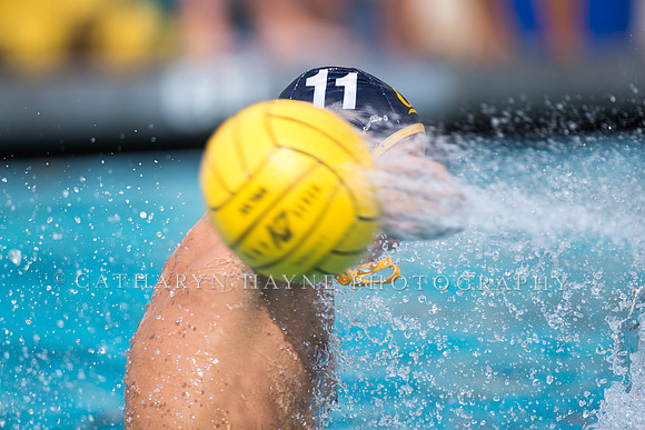 Cal Alumni Game