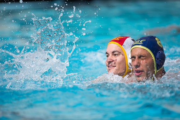 Cal Alumni Game