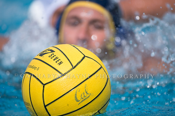 Cal Alumni Game