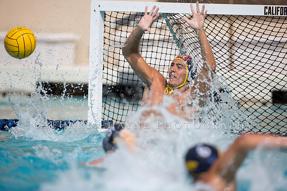 Cal Alumni Game