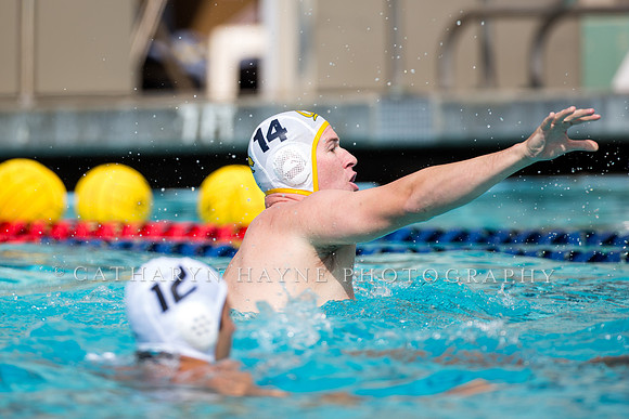Cal Alumni Game