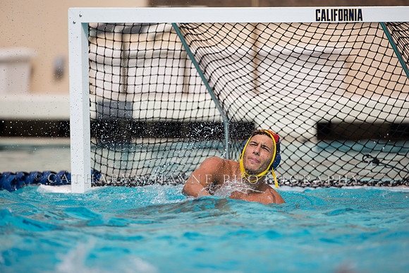 Cal Alumni Game