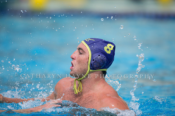 Cal Alumni Game