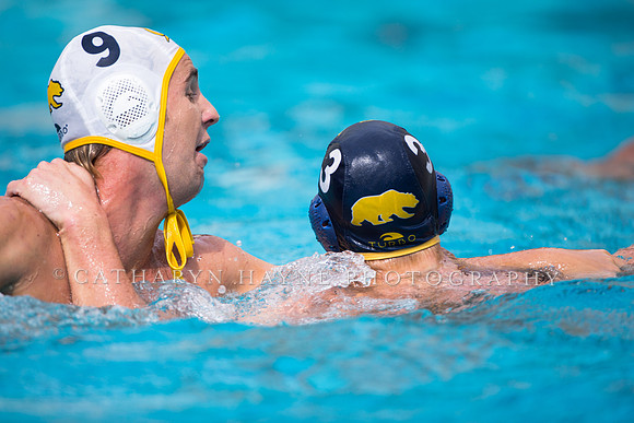 Cal Alumni Game