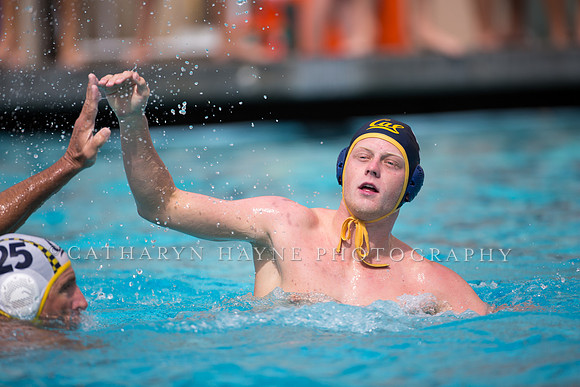 Cal Alumni Game