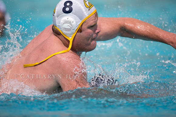 Cal Alumni Game