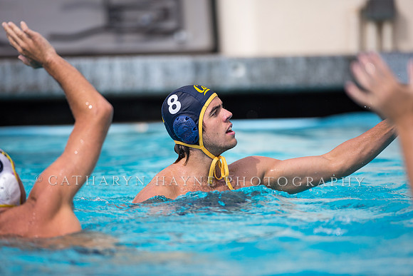 Cal Alumni Game