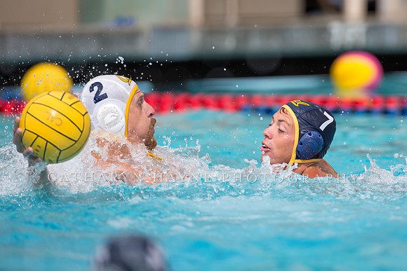Cal Alumni Game