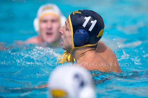 Cal Alumni Game