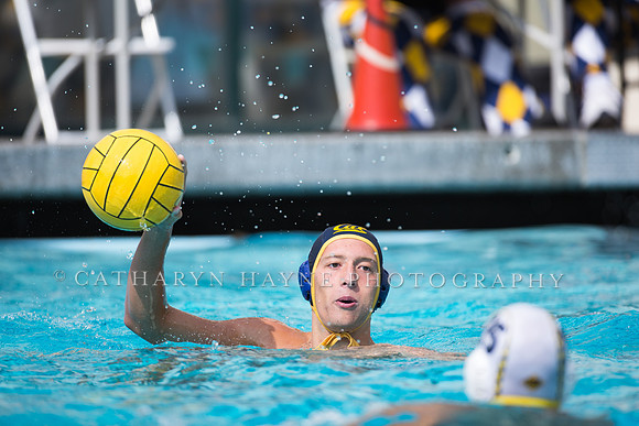 Cal Alumni Game