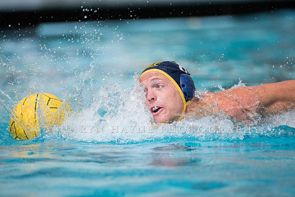 Cal Alumni Game