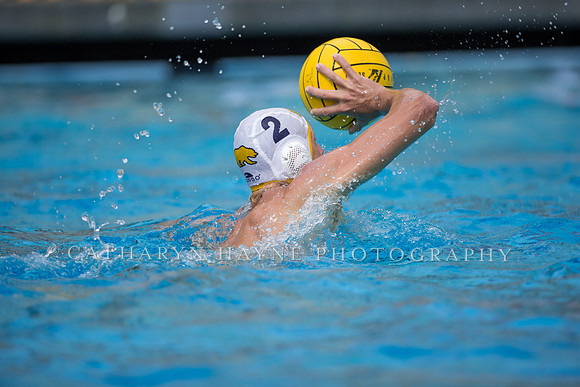 Cal Alumni Game