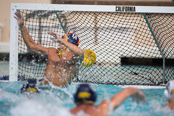 Cal Alumni Game