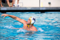 Cal Alumni Game
