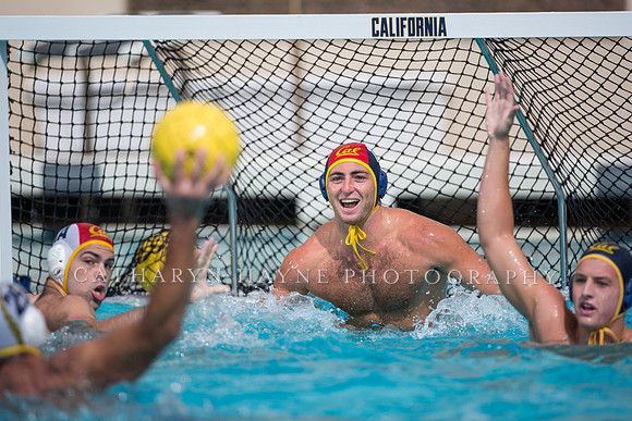 Cal Alumni Game