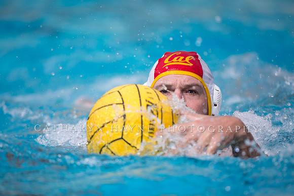 Cal Alumni Game