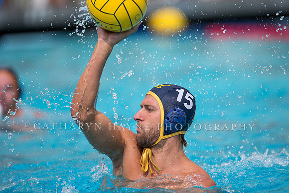 Cal Alumni Game