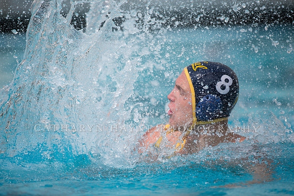 Cal Alumni Game