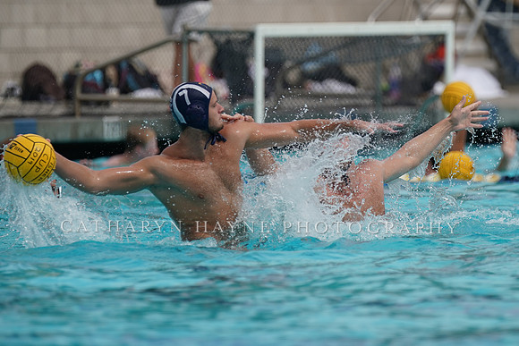 USA Water Polo National League: Fisher Cup:Collegiate vs Newport